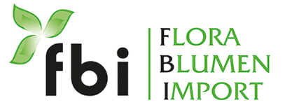 Flora Blumenimport